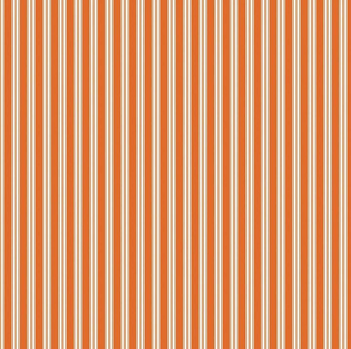 Sophisticated Hallow - Ticking Orange C14624-ORANGE