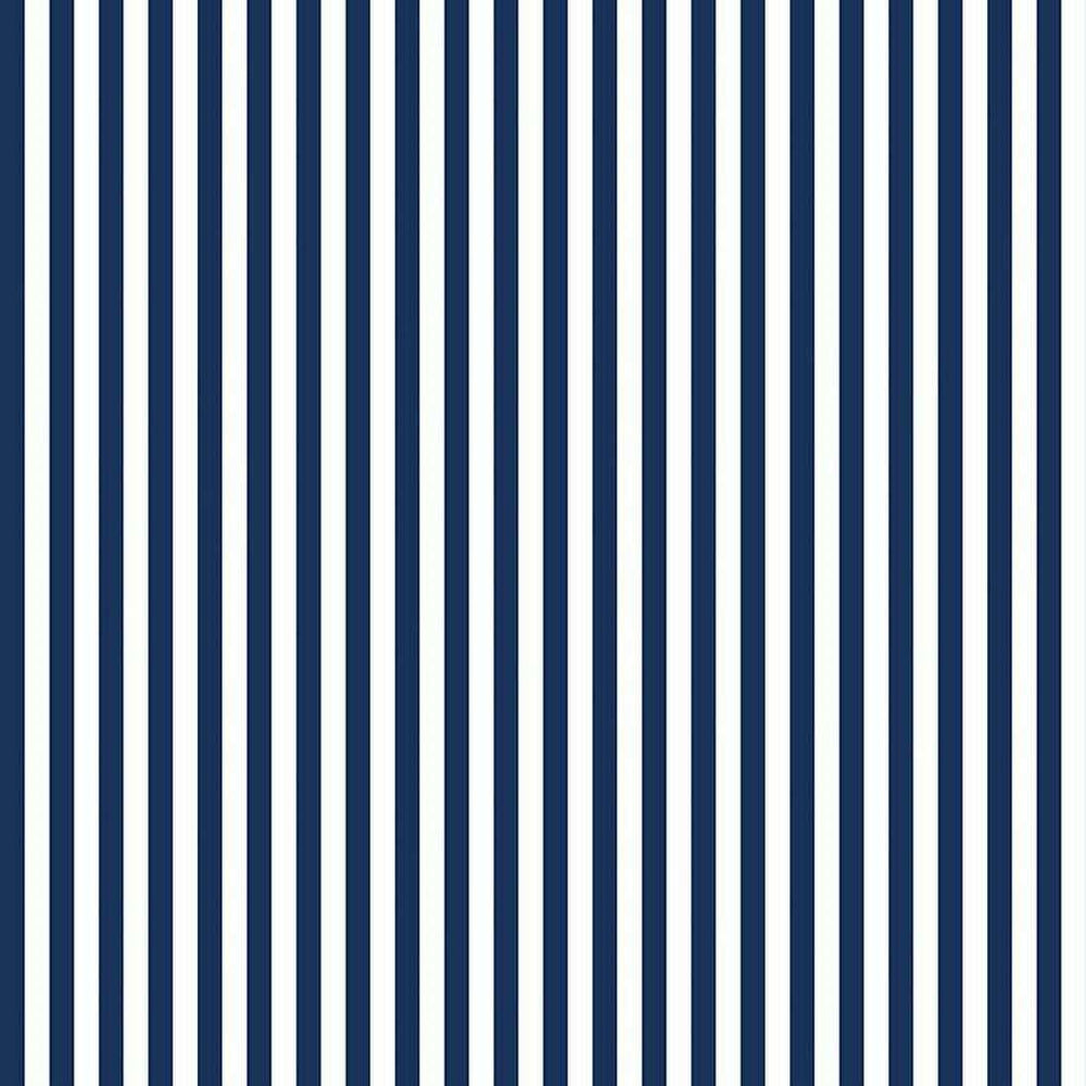 Stripes - 1/4in Stripe Navy RB-C555-NAVY