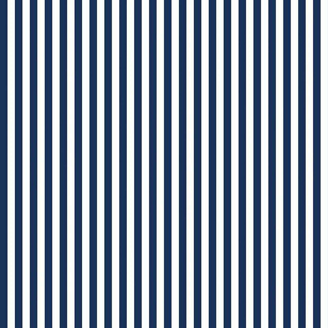 Stripes - 1/4in Stripe Navy RB-C555-NAVY