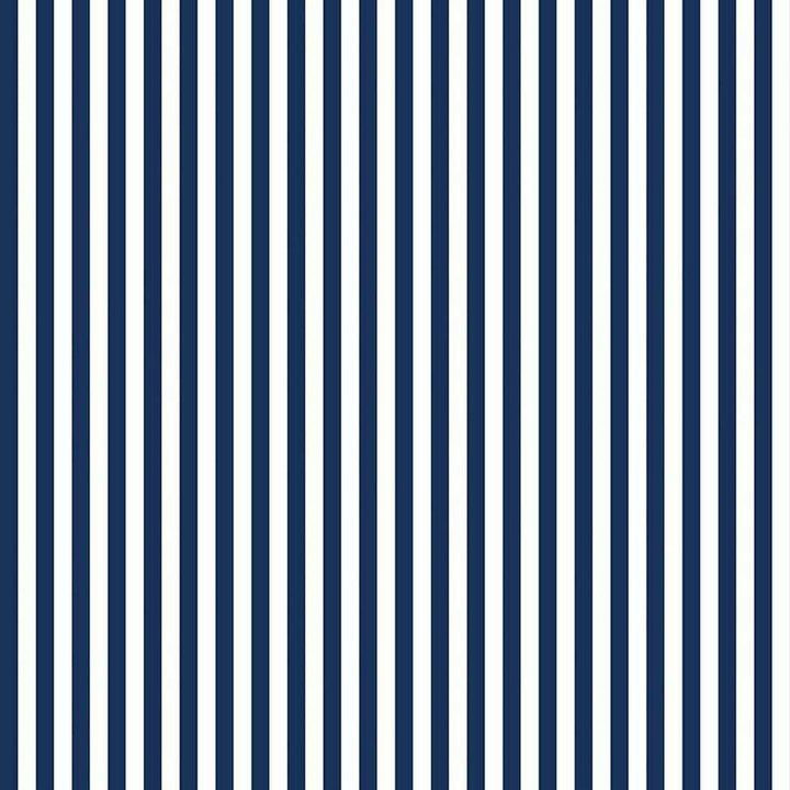 Stripes - 1/4in Stripe Navy RB-C555-NAVY