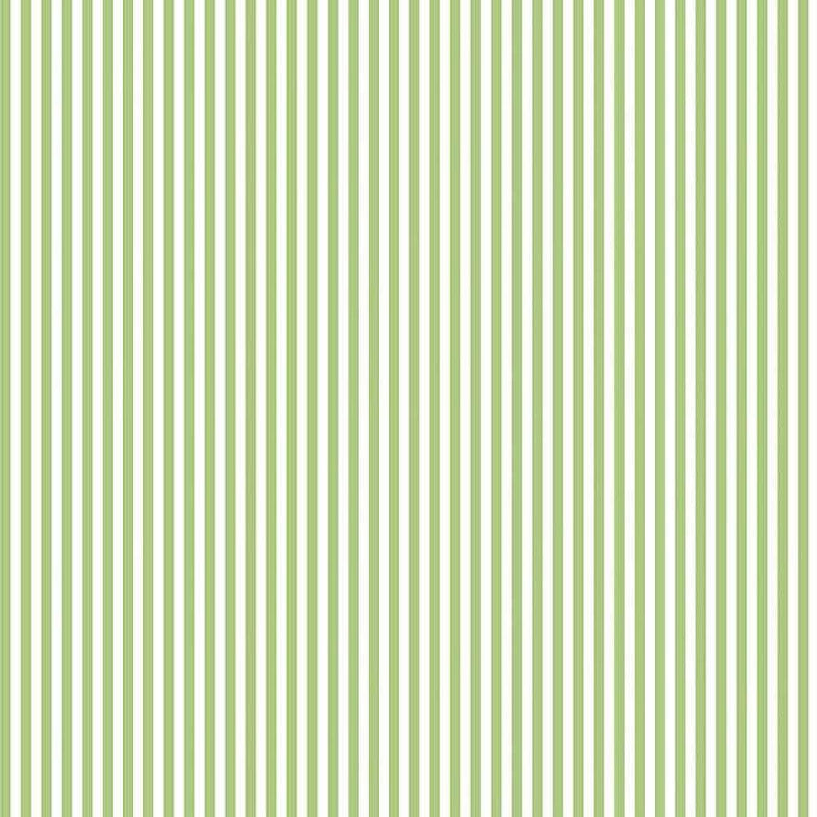 Stripes - 1/8" Stripe Green C495-GREEN