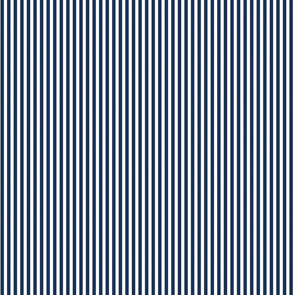 Stripes - 1/8" Stripe Navy C495-NAVY