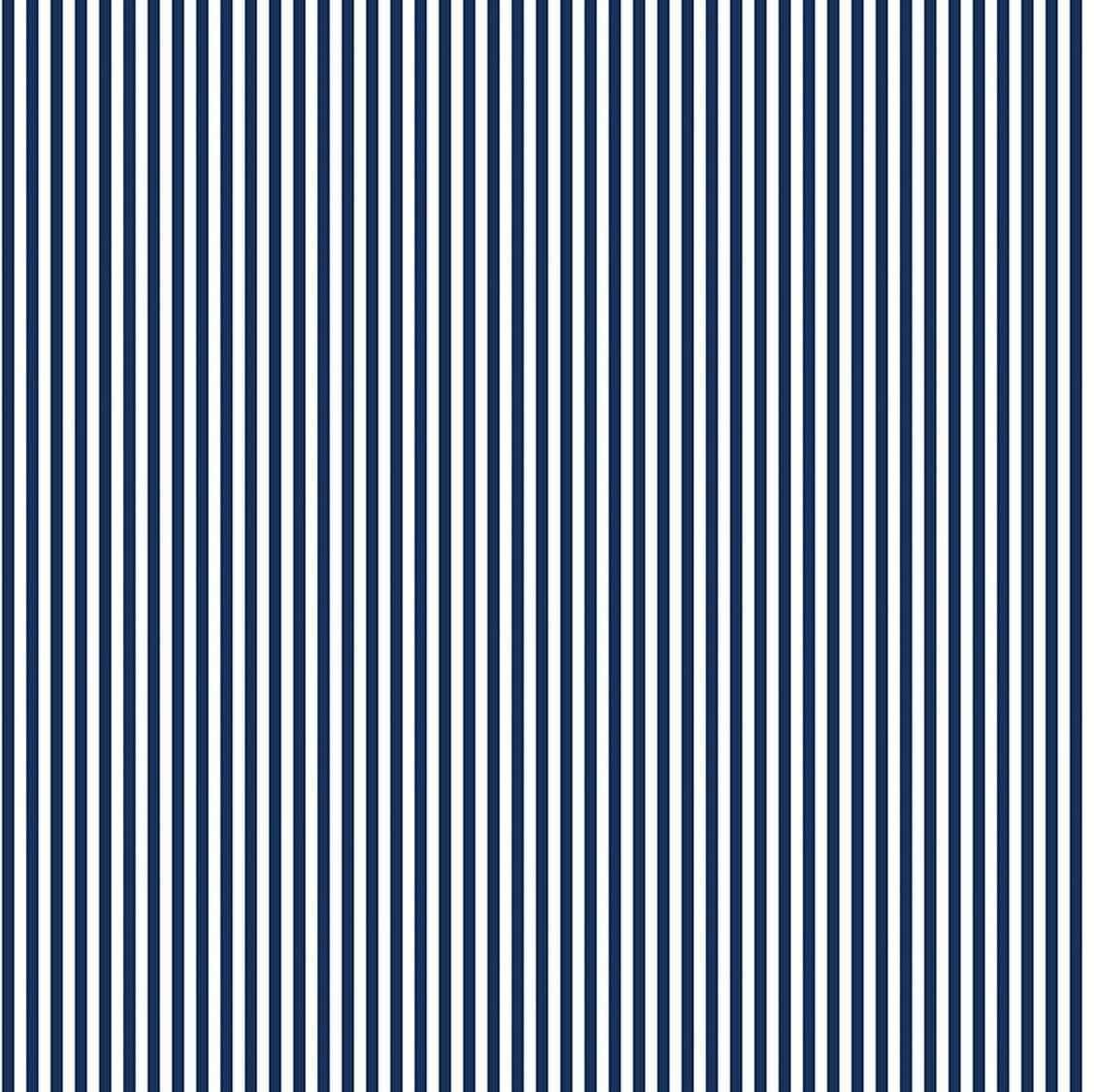 8" Stripe Navy C495-NAVY