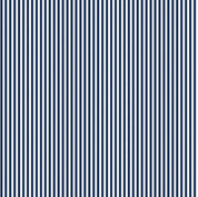 Stripes - 1/8" Stripe Navy C495-NAVY