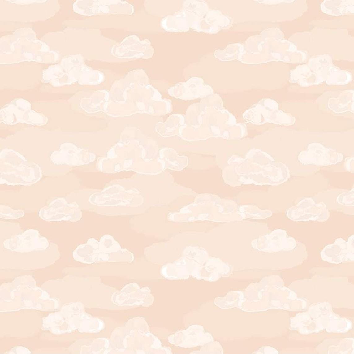 Wild and Free - Clouds Peach C12934-PEACH