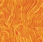 Bark Dark and Light Orange - Full Bloom 721402024