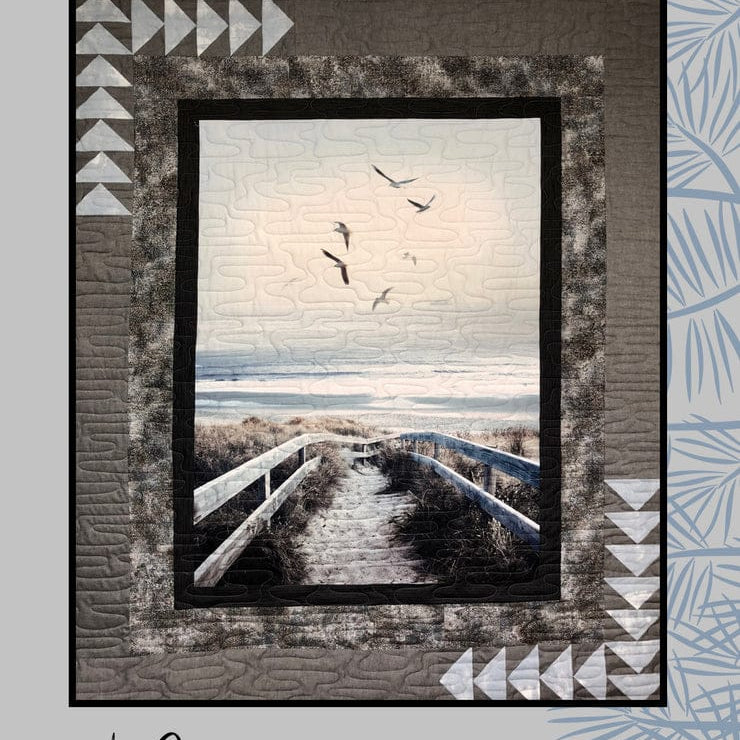 Beach Walk Villa Rosa Postcard 617831992680