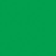 Emerald City Green - Confetti Cottons C120-EMERALDCITY