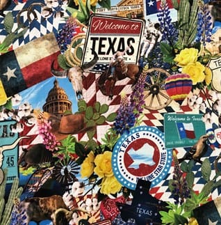 New Year's Day Mystery Quilt Kit - Texas TEXAS-NYD27