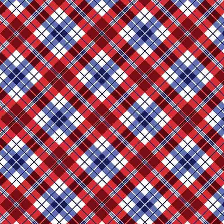 BBQ Season - Madras Diagonal Patriotic Plaid C1343-USA