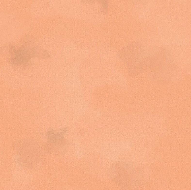 Colorstock - Apricot Brushstroke JN-C2970APRICOT