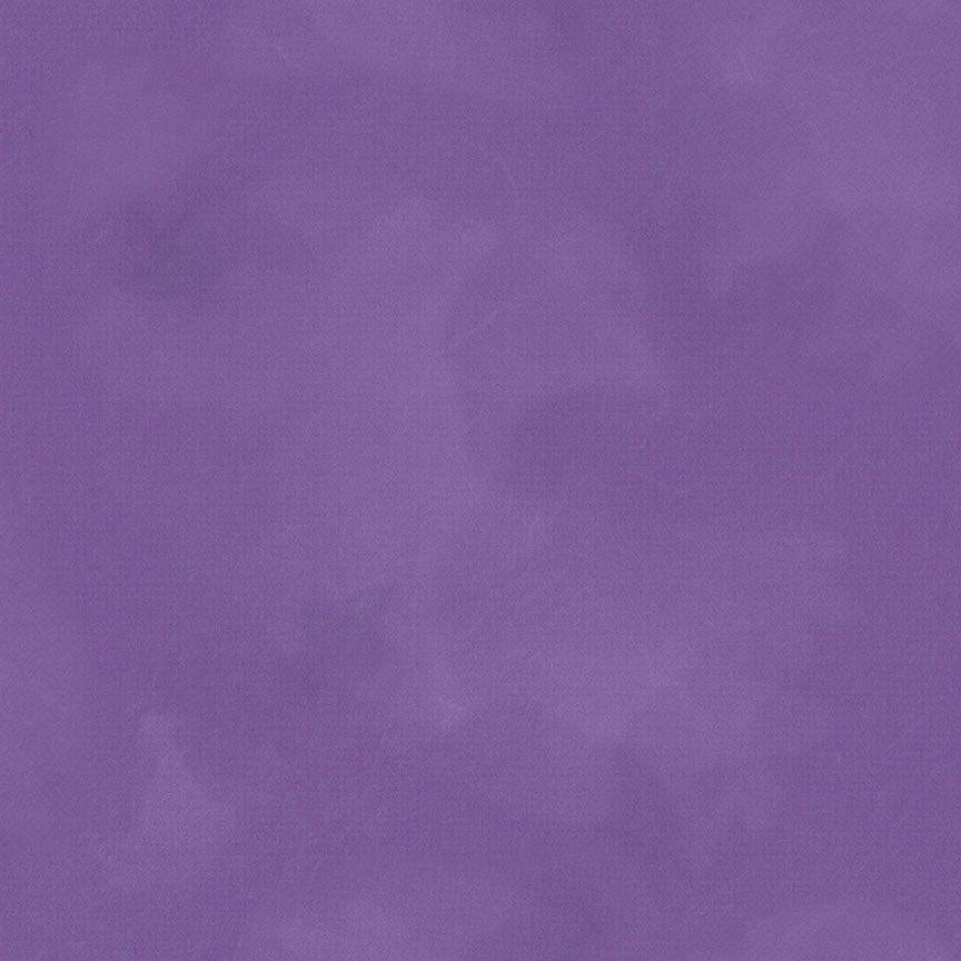 Colorstock - Brushstroke Plum JN-C2970PLUM