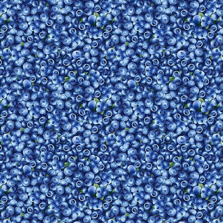 Fresh Fruit - Packed Blueberries FRUIT-CD1748BLU