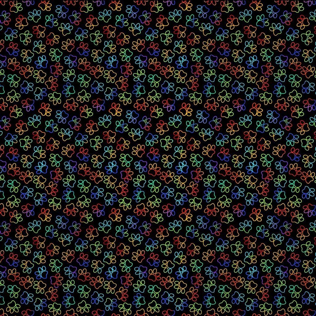 Live Love Meow - Rainbow Cat Paw Print GAIL-CD3339