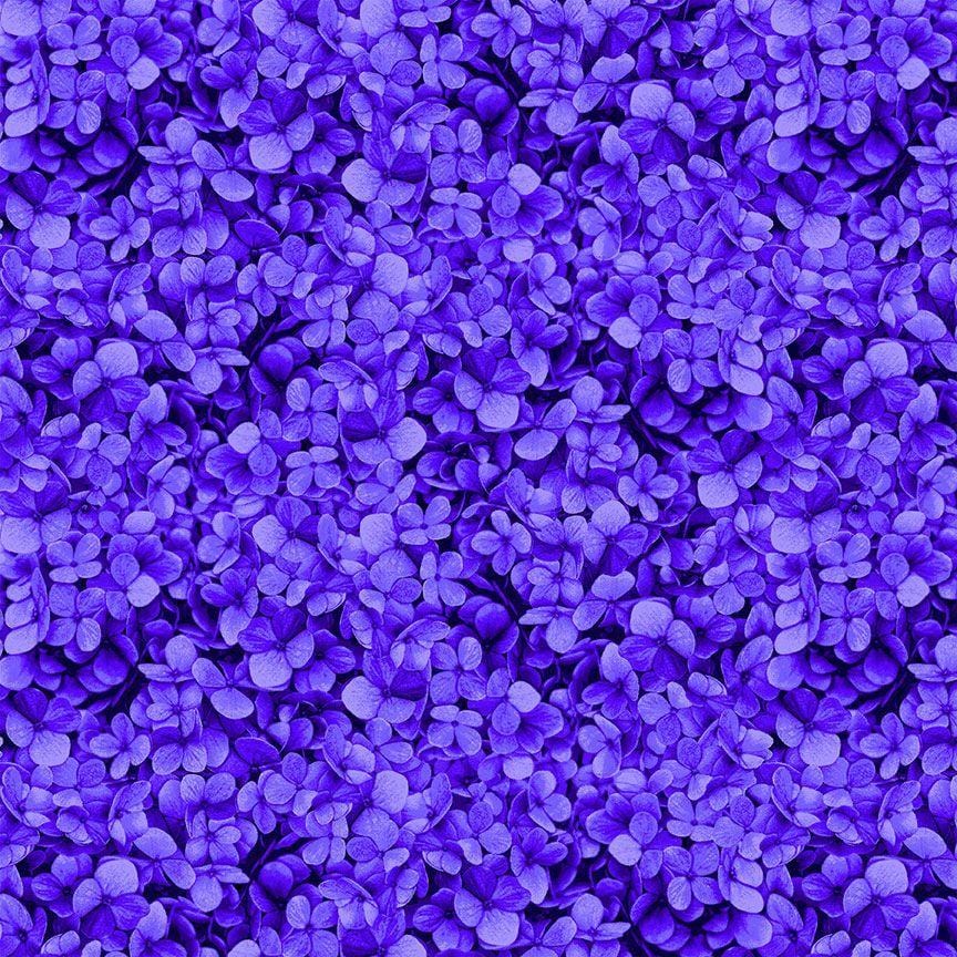 Midnight Bloom - Packed Hydrangea Petals Purple CD3387-PURPLE