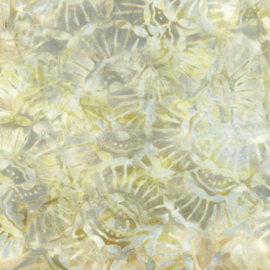 Seashell TTTONGA-B6198