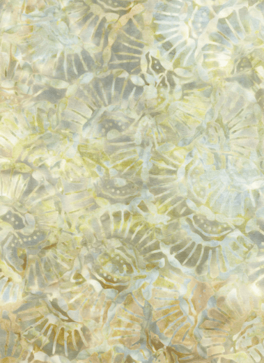 Seashell TTTONGA-B6198