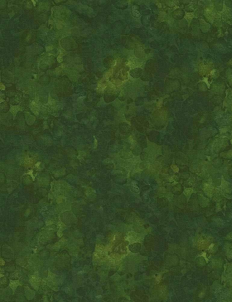 Solidish - Watercolor Forest KIM-C6100FST