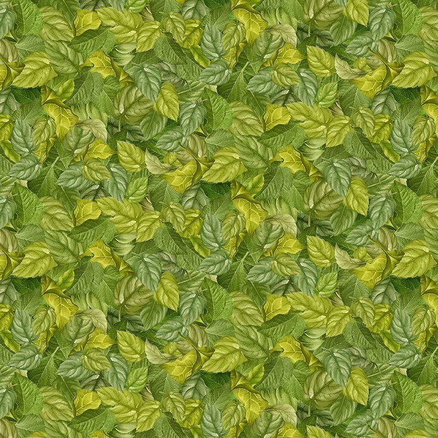 Sunflower Farm - Packed Sunflower Leaves CD3366-GREEN