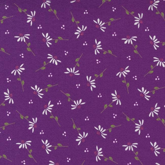 Sincerely Yours - Dainty Floral Daisy - Iris 37612-17