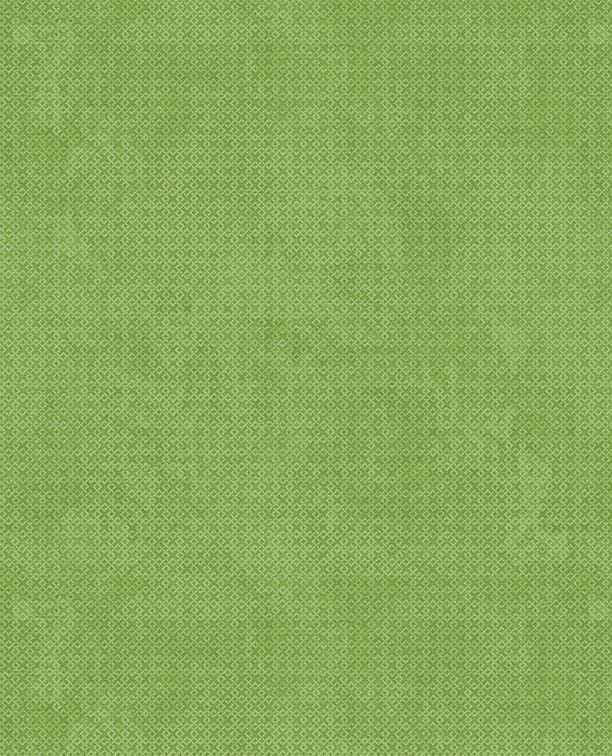 Pickle Green - Criss Cross 1825-85507-755