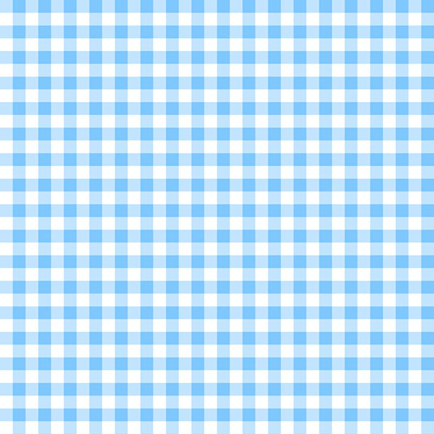 Essentials Classics - Gingham White/ Baby Blue 1817-39162-141