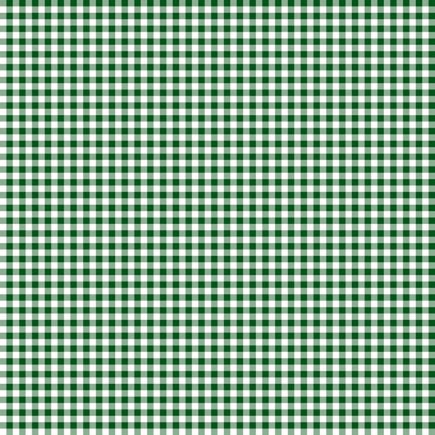 Essentials Classics - Mini Gingham White/ Dark Green 1817-39161-177