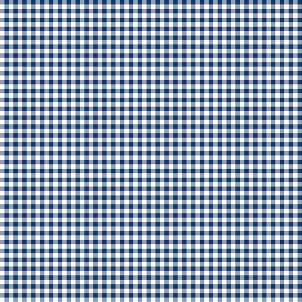 Essentials Classics - Mini Gingham White/ Navy 1817-39161-144