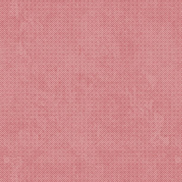 Salmon - Criss Cross 1825-85507-338