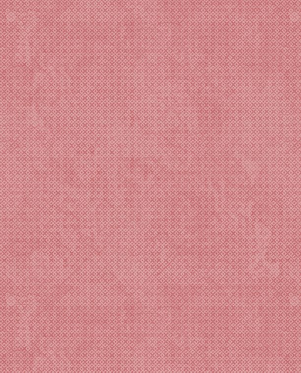 Salmon - Criss Cross 1825-85507-338