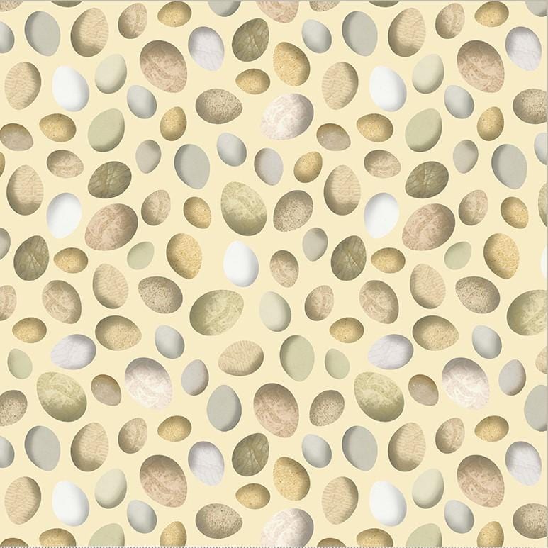 Boho Chick - Fresh Eggs Eggshell 54562-3