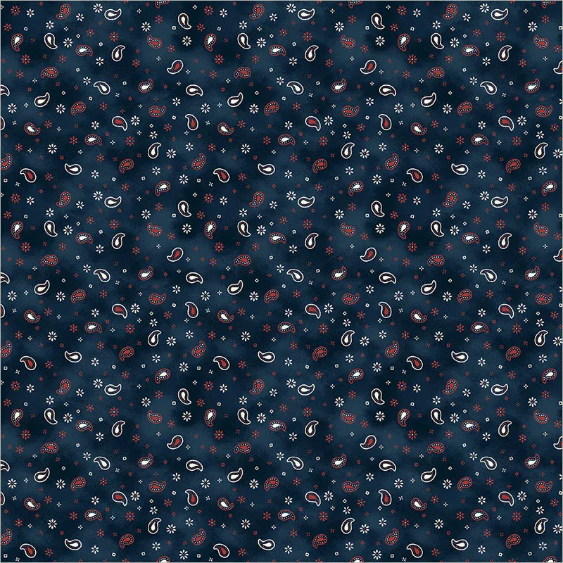 Little Paisley Indigo - Lone Star Trail 55434-11