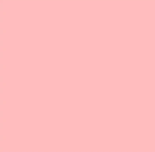 Ruby and Bee Solids - Shell Pink 51583-5