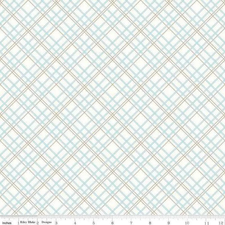 Bee Backings & Borders - Plaid Aqua RBWB6422-AQUA