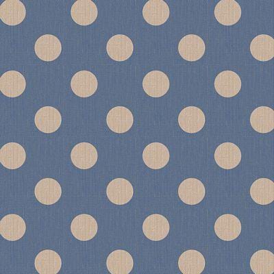 Chambray Dots -  Aqua BREWER 