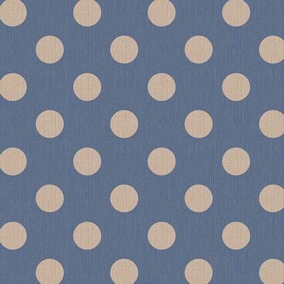 Chambray Dots -  Charcoal BREWER 