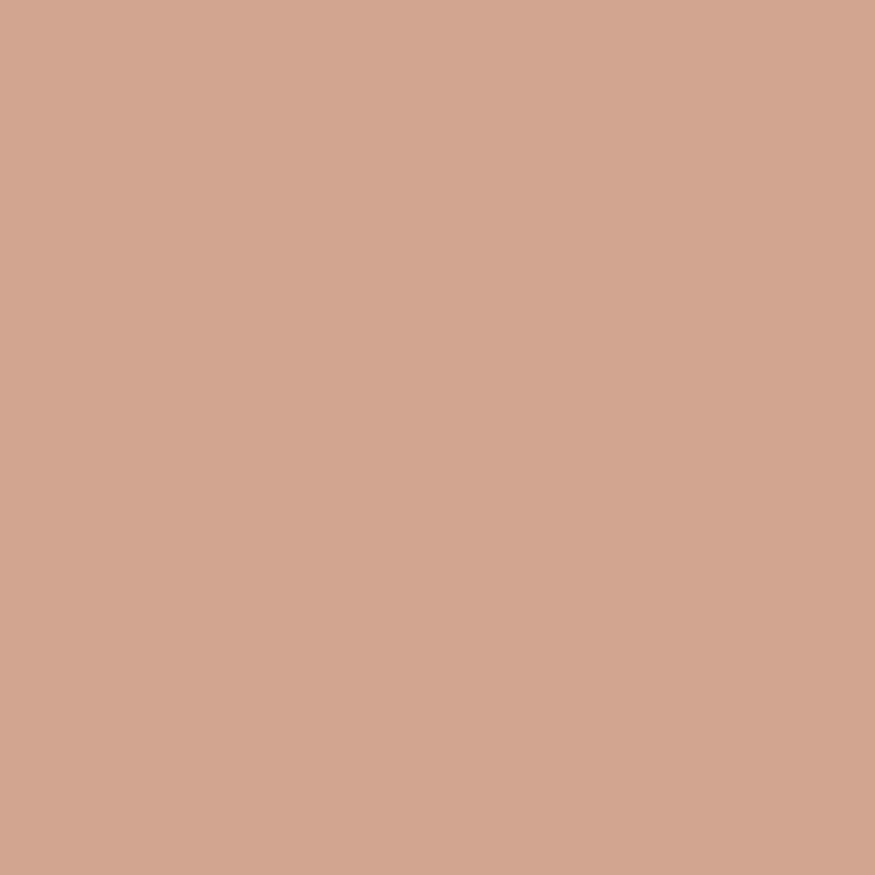 Riley Blake - Confetti Cottons - Nutmeg Riley Blake 