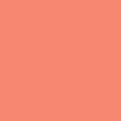 FreeSpirit - Tula Pink Solids - Persimmon FreeSpirit Fabrics 