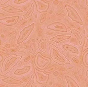 FreeSpirit - Tula's True Colors - Mineral Morganite FreeSpirit Fabrics 