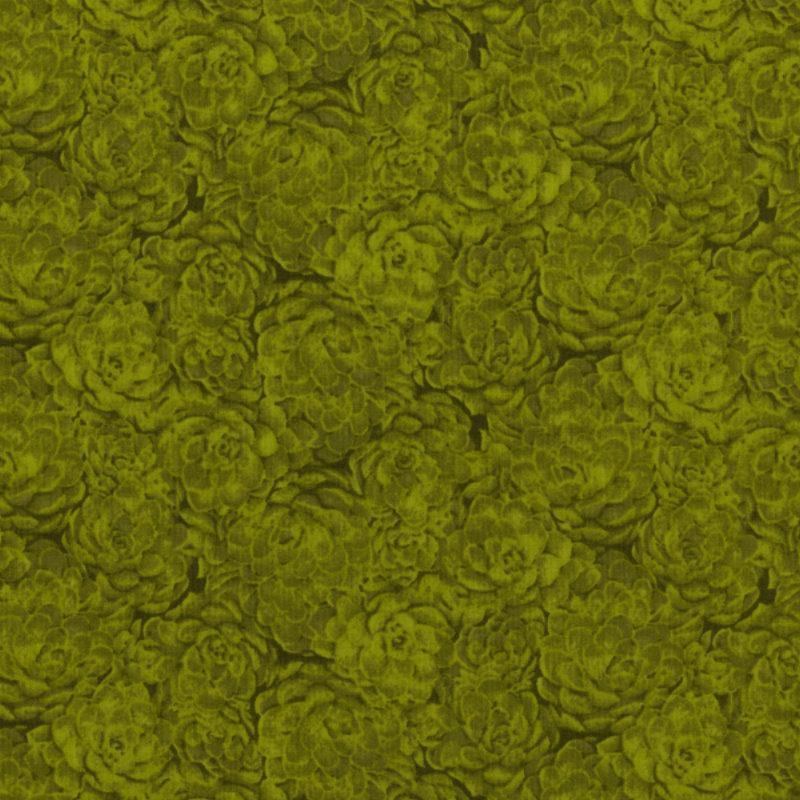 RJR Fabrics - Jinny Beyer Palette - Hens & Chicks Lime RJR FABRICS 