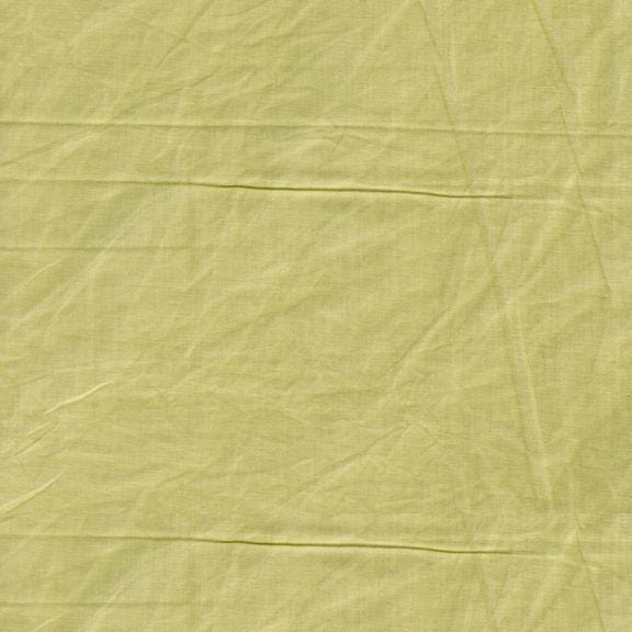 Aged Muslin - Muslin Celery WR87702-0165