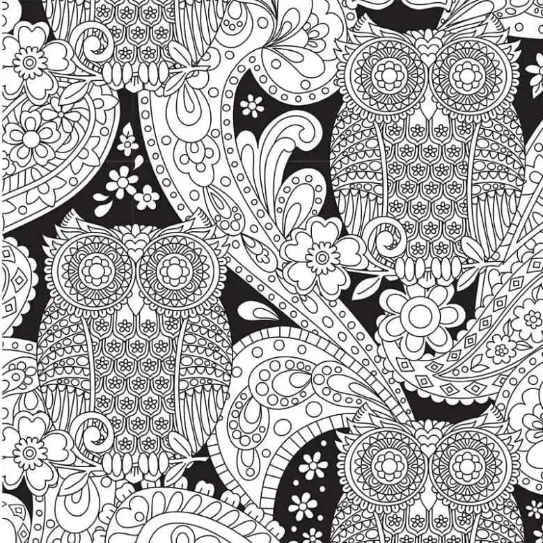 What A Hoot! Michael Miller Fabrics/CIT 