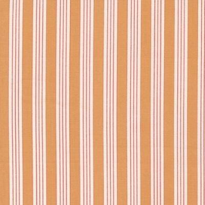 Fruit Cocktail - Tangerine Stripes 2046717