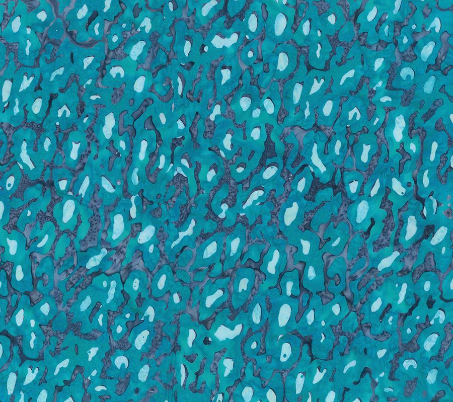 On The Wild Side - African Violets Teal Northcott 