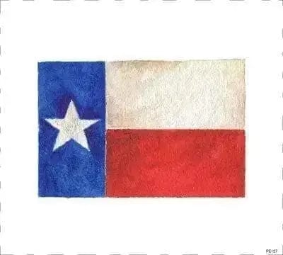 Texas Flag Panel Quilt Block Art 