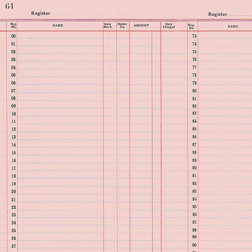 Journal Basics - Ledger Paper Pink C13054-PINK