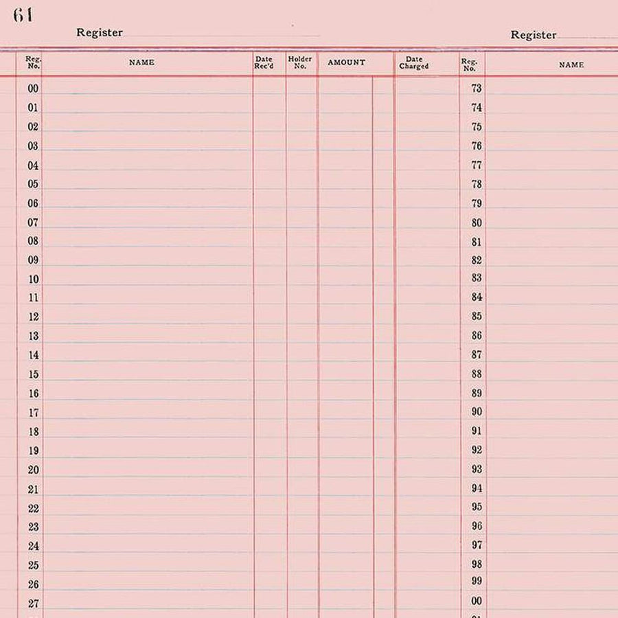 Journal Basics - Ledger Paper Pink C13054-PINK