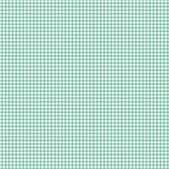 Riley Blake - Bee Ginghams - Jennifer Sea Green Riley Blake 
