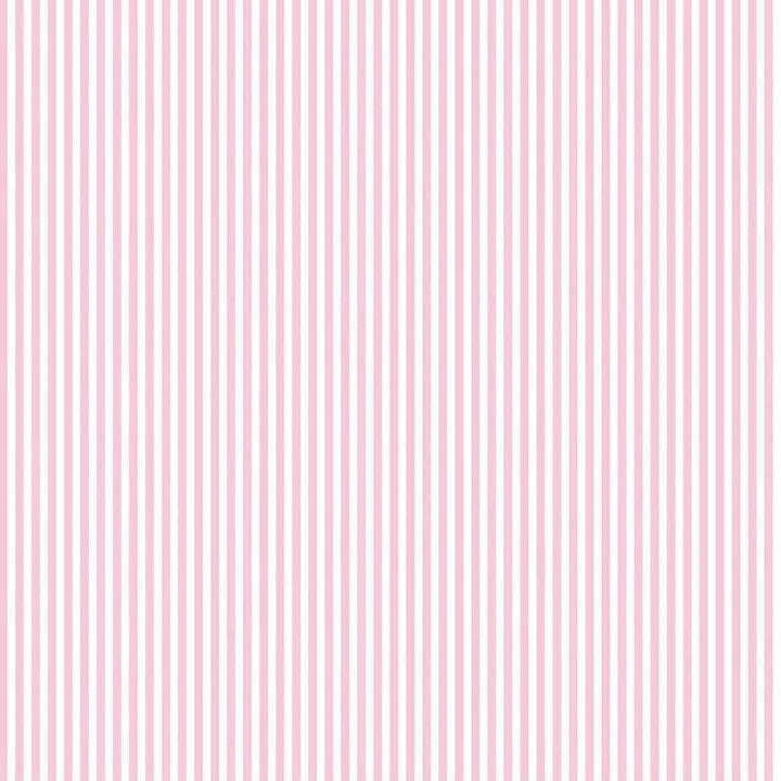 Riley Blake - Stripes - 1/8" Stripe Peony Riley Blake 