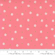 Sincerely Yours - Chamomile Floral - Flamingo MODA/ United Notions 